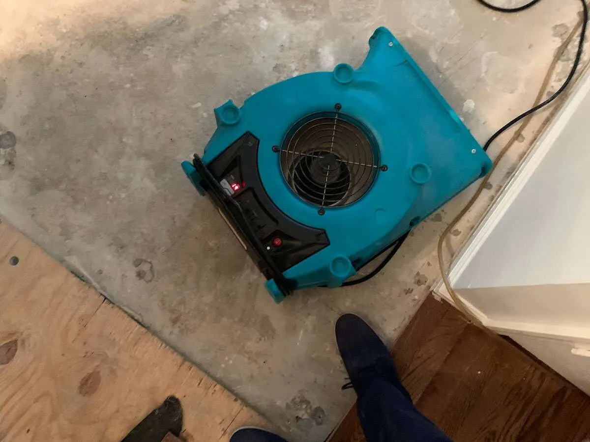 Air mover drying subfloor during Leak Detection & Repair in Brighton